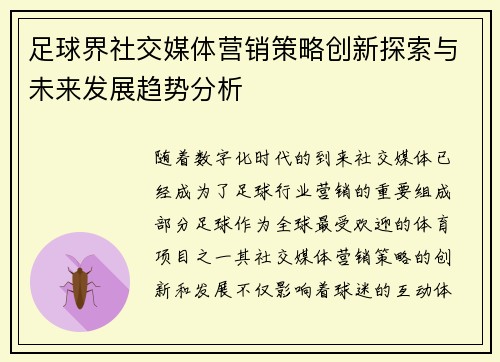 足球界社交媒体营销策略创新探索与未来发展趋势分析